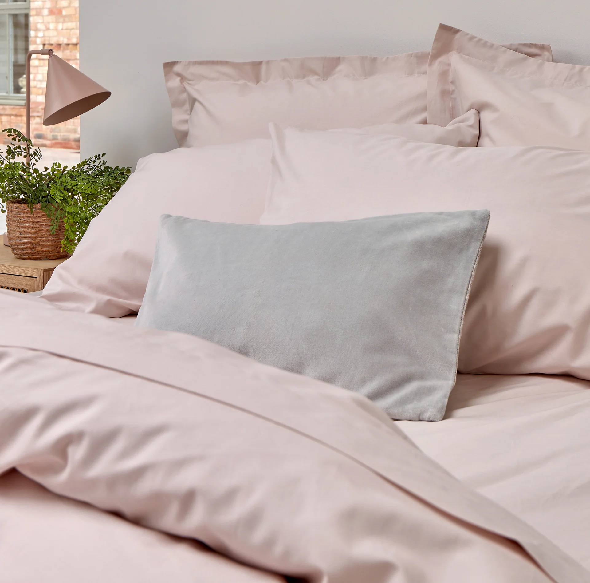 Pure Organic Cotton Pillowcases - Image 25