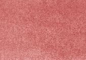 Jaipur Cushion - Image 13