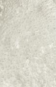 Supreme Supima Cotton Towels - Image 46